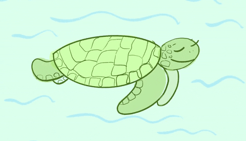 海龟汤题目和答案全套恐怖_细思极恐的海龟汤游戏题目